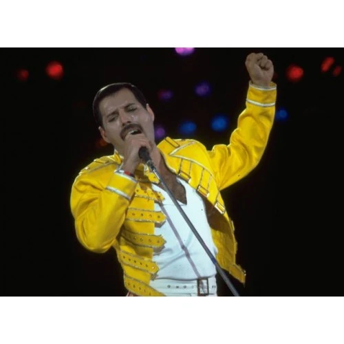 Freddie Mercury Yellow Jacket 5 Freddie Mercury Yellow Jacket - Image 5